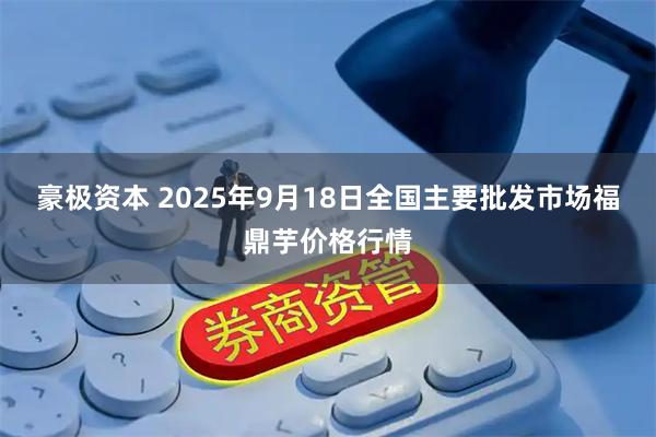 豪极资本 2025年9月18日全国主要批发市场福鼎芋价格行情