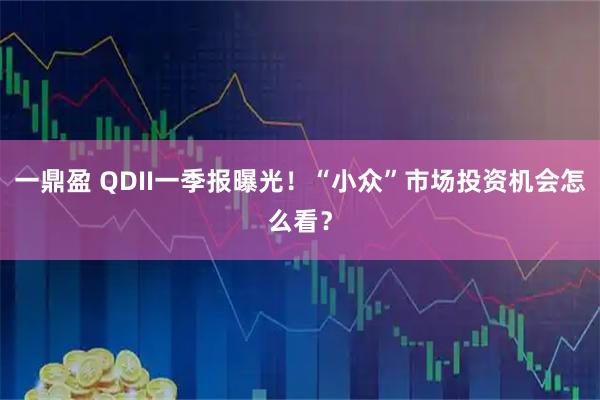 一鼎盈 QDII一季报曝光!“小众”市场投资机会怎么看?