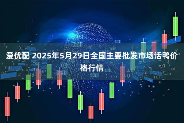 爱优配 2025年5月29日全国主要批发市场活鸭价格行情