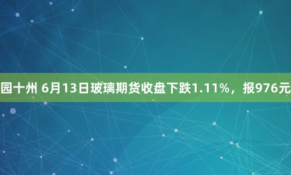 园十州 6月13日玻璃期货收盘下跌1.11%,报976元